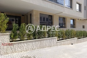 ������ ������� ����