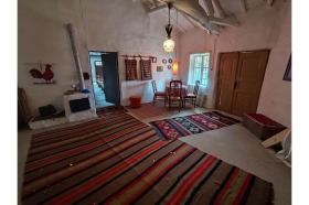 ������ ������� ����