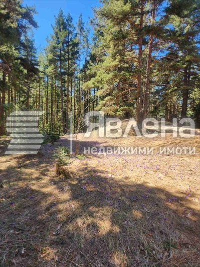 Продава КЪЩА, с. Бели Искър, област София област, снимка 11 - Къщи - 54952151