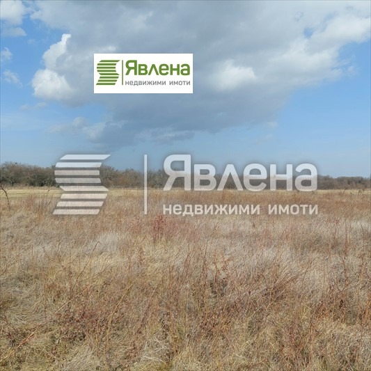 Продаја  Плот Софија , Лозен , 4000 м2 | 67887289 - слика [2]