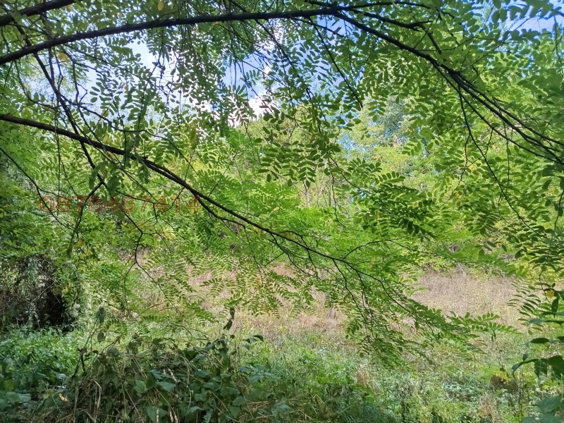 Продава ПАРЦЕЛ, с. Бели Осъм, област Ловеч, снимка 2 - Парцели - 52780169