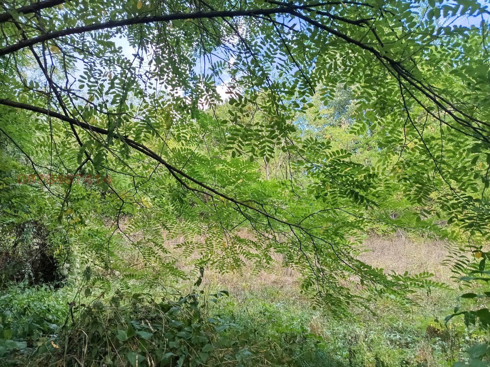 Продава ПАРЦЕЛ, с. Бели Осъм, област Ловеч, снимка 2 - Парцели - 54039725