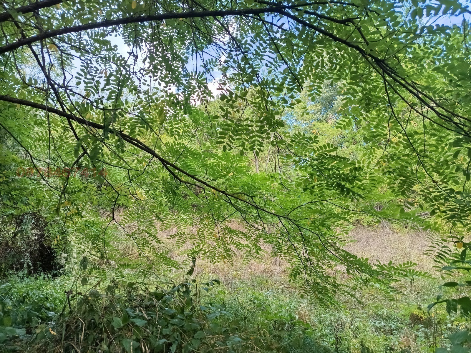 Продава ПАРЦЕЛ, с. Бели Осъм, област Ловеч