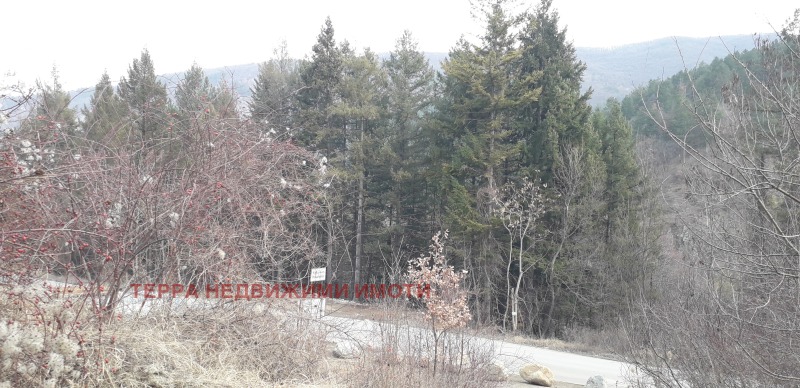 Продава ПАРЦЕЛ в град София, с. Кокаляне - 2984 кв.м / 486 392 € » 951 300.07 лв., ТЕРРА НЕДВИЖИМИ ИМОТИ