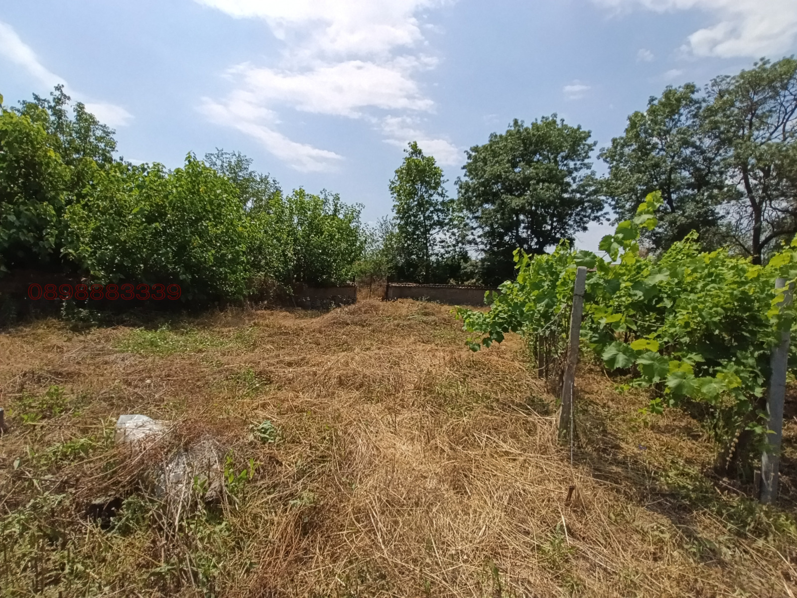 ������� ���� | Imot.bg � ����������� 2