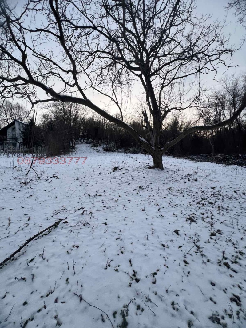 Продава ПАРЦЕЛ, с. Осеново, област Варна, снимка 5 - Парцели - 53165536