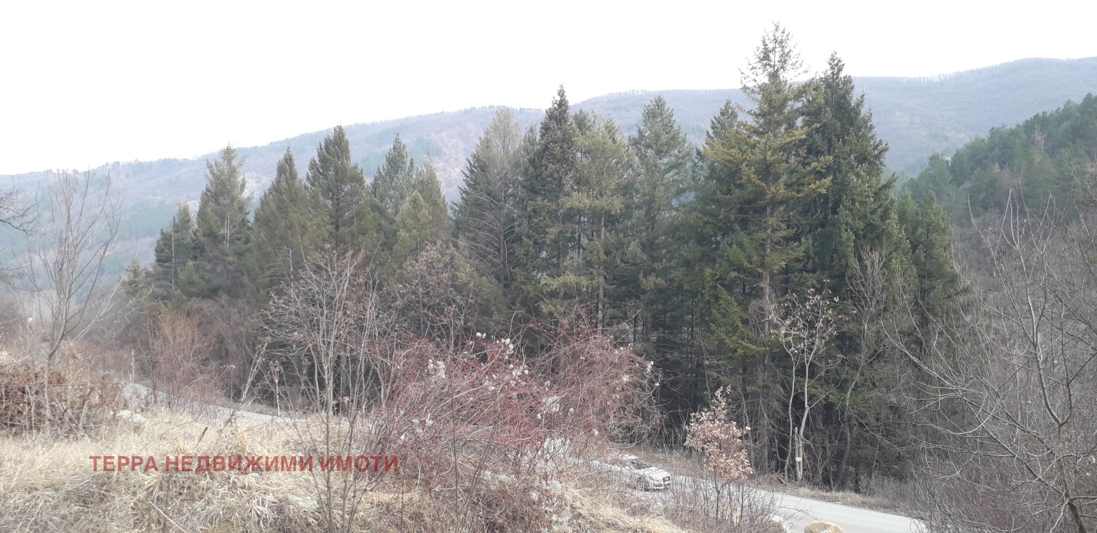 Продава ПАРЦЕЛ, гр. София, с. Кокаляне, снимка 2 - Парцели - 51069289