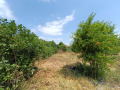 Продава  Къща област Хасково , с. Върбица , 120 кв.м | 16049010 - изображение [4]