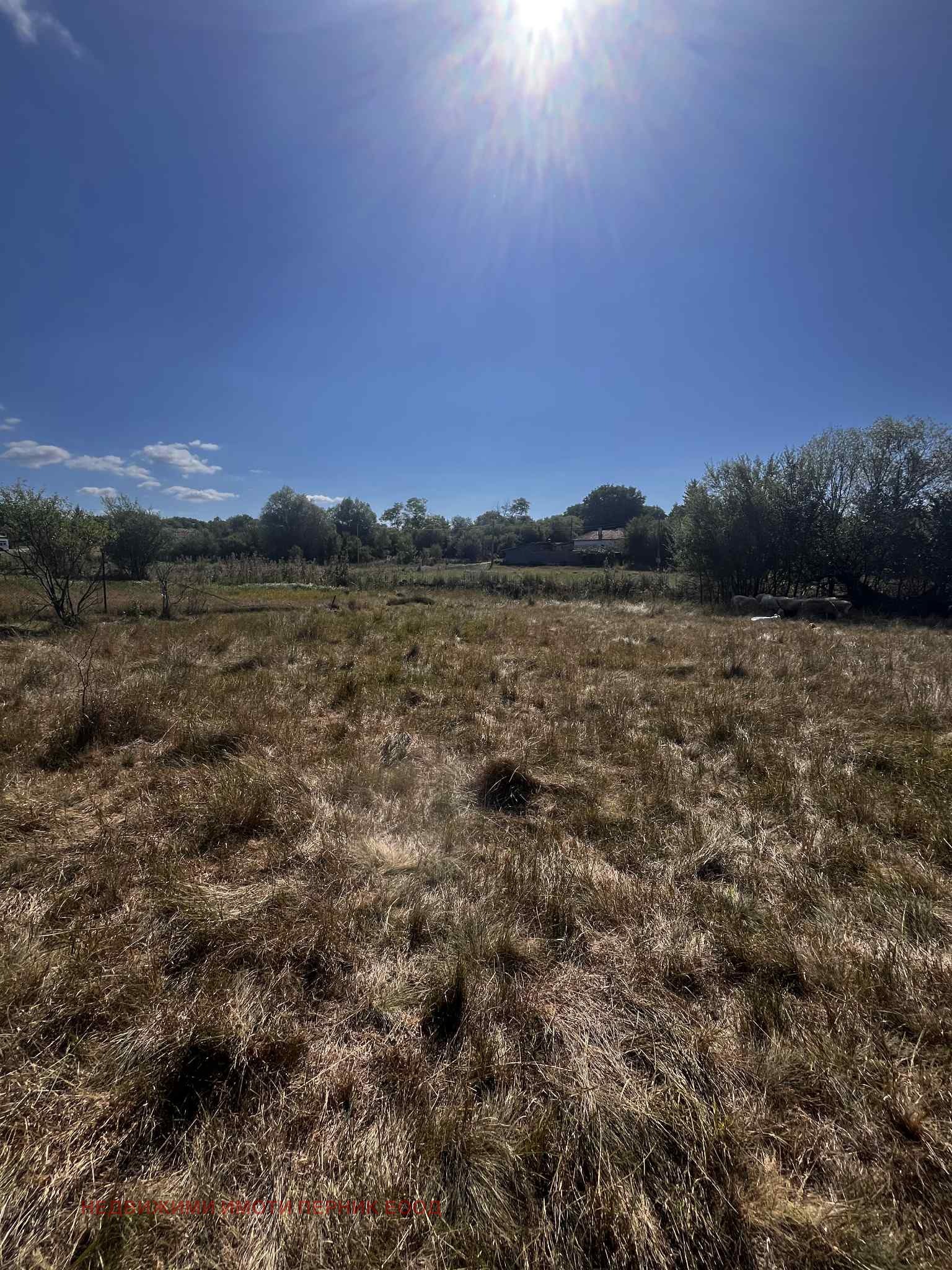 Продава ПАРЦЕЛ | Imot.bg — изображение 3