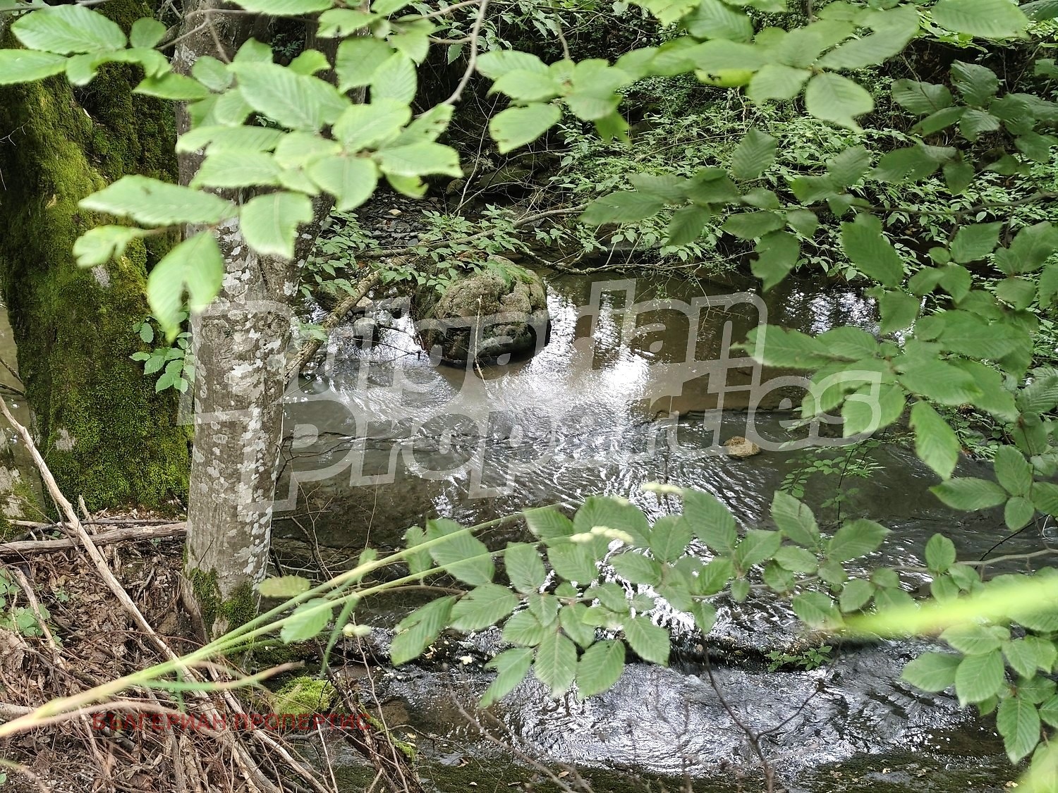 ������� ������ | Imot.bg � ����������� 10
