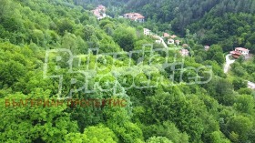 ������� ������ | Imot.bg � ����� ������ 8