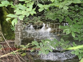 ������� ������ | Imot.bg � ����� ������ 10