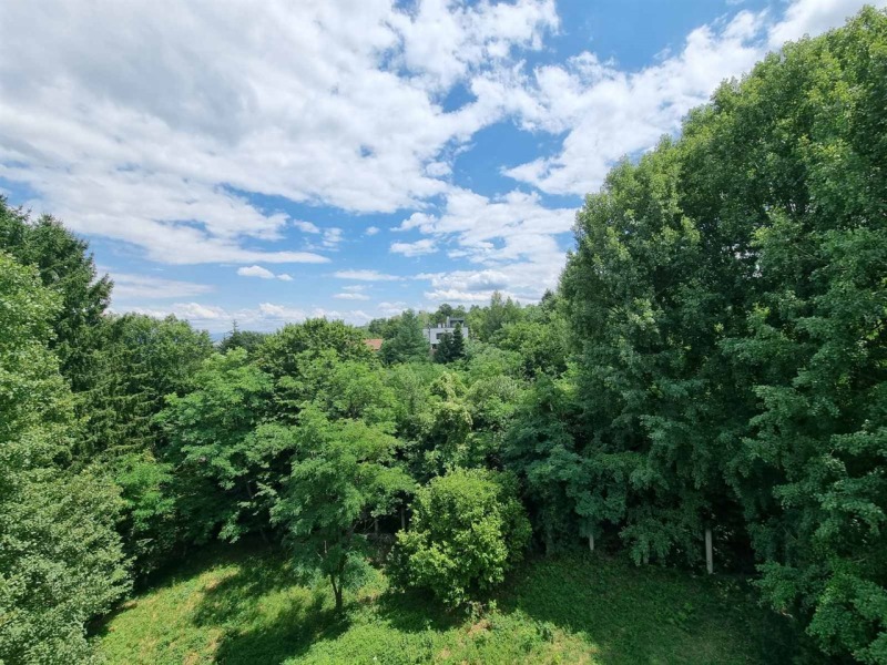 Te koop  Huis Sofia , Pantsjarevo , 367 m² | 53401465 - afbeelding [12]