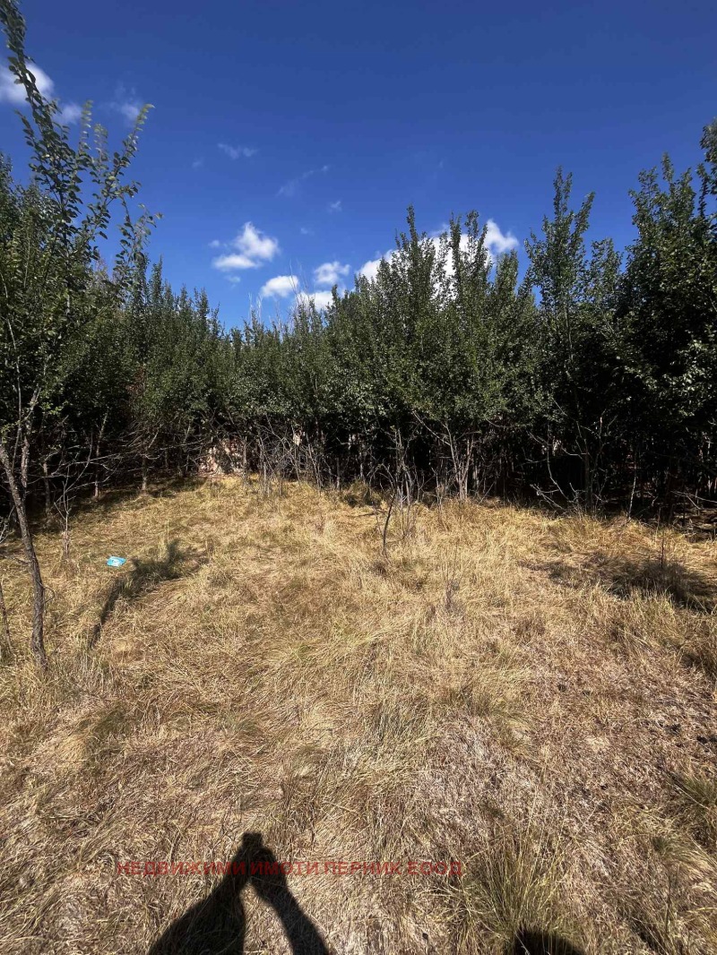 À vendre  Parcelle région Pernik , Velkovtsi , 1200 m² | 26512895 - image [2]