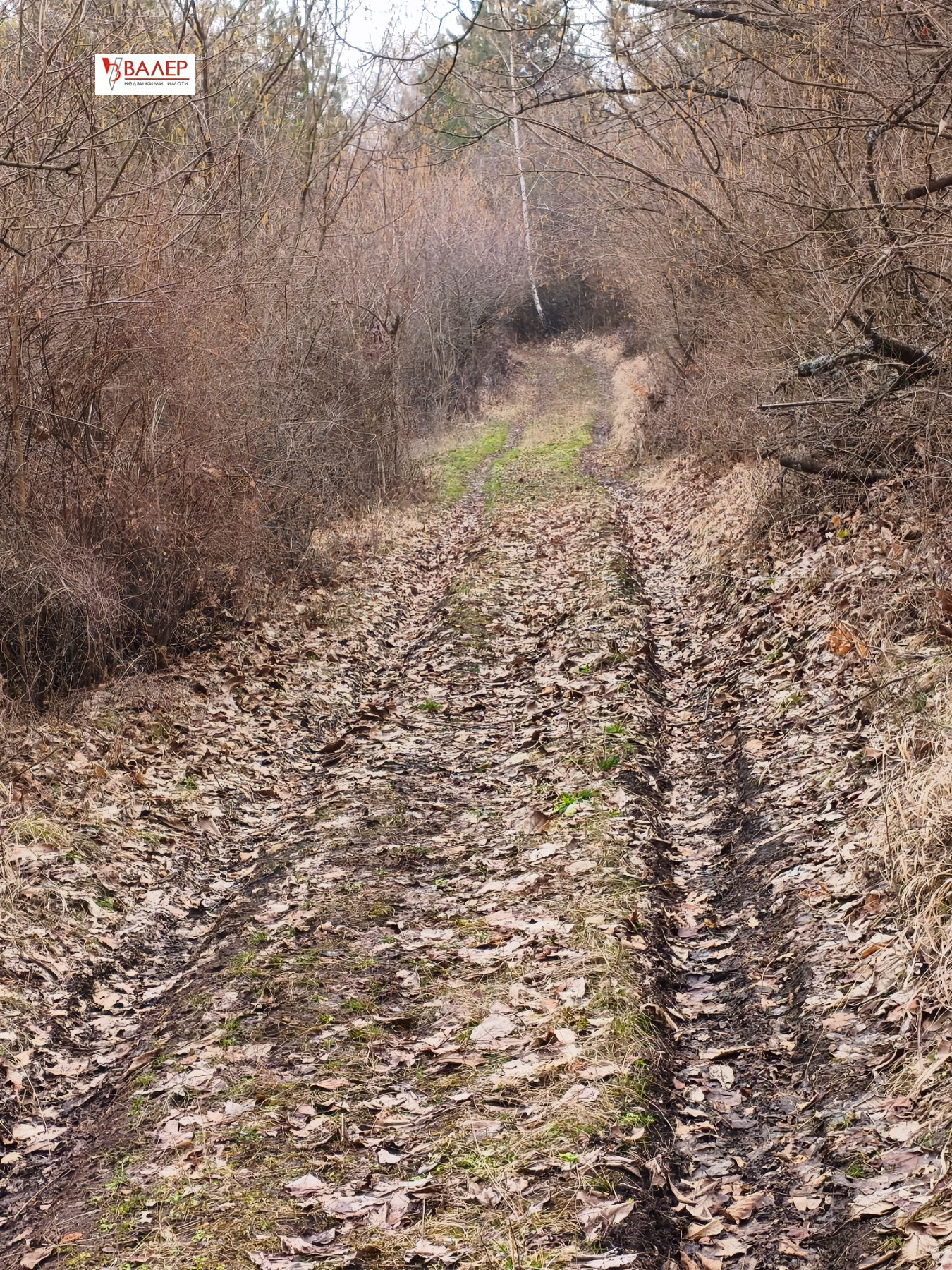 ������� ������ | Imot.bg � ����������� 4