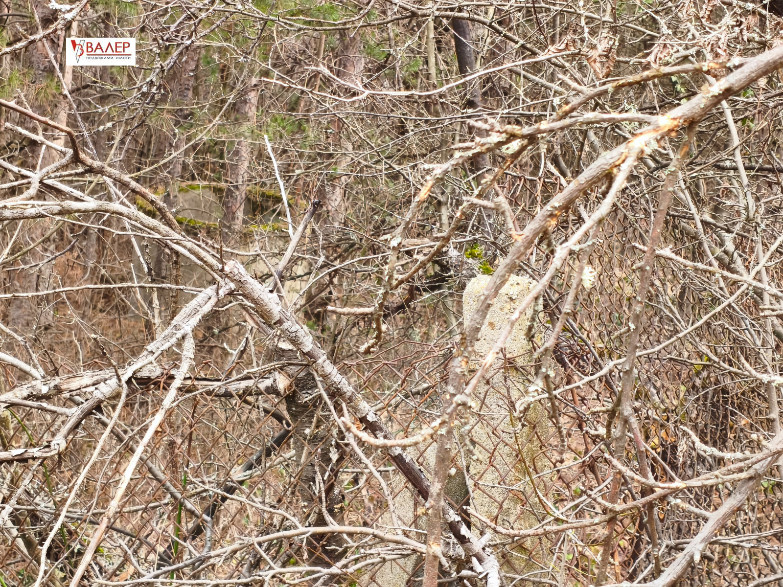 ������� ������ | Imot.bg � ����������� 8