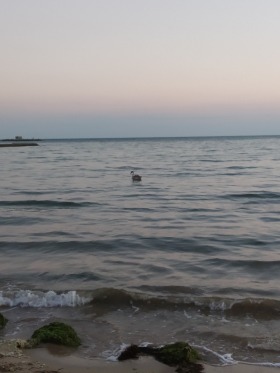 ������� ������ | Imot.bg � ����� ������ 2