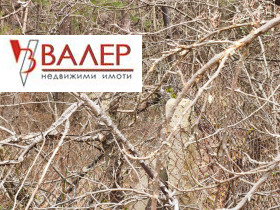 ������� ������ | Imot.bg � ����� ������ 8