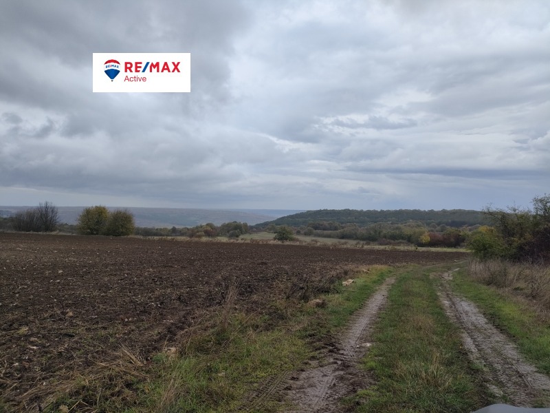 Продава ПАРЦЕЛ, с. Климентово, област Варна, снимка 4 - Парцели - 52846365