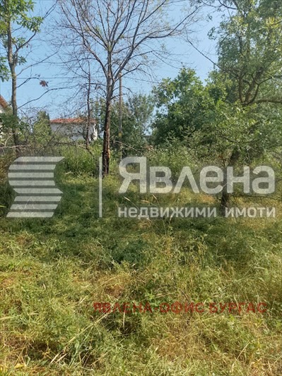 Продава ПАРЦЕЛ, с. Фазаново, област Бургас, снимка 4 - Парцели - 52879232