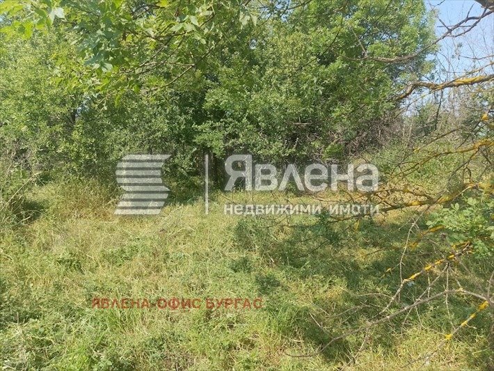 Продава ПАРЦЕЛ, с. Фазаново, област Бургас, снимка 2 - Парцели - 52879232