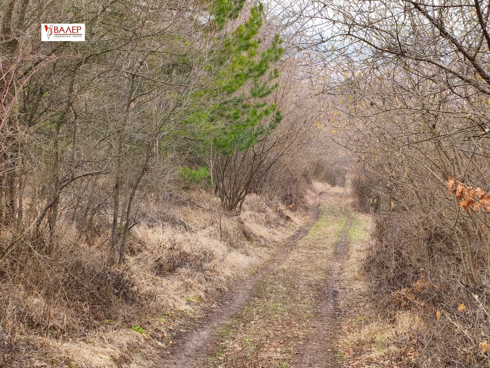 Продава ПАРЦЕЛ, гр. София, с. Герман, снимка 2 - Парцели - 53730880