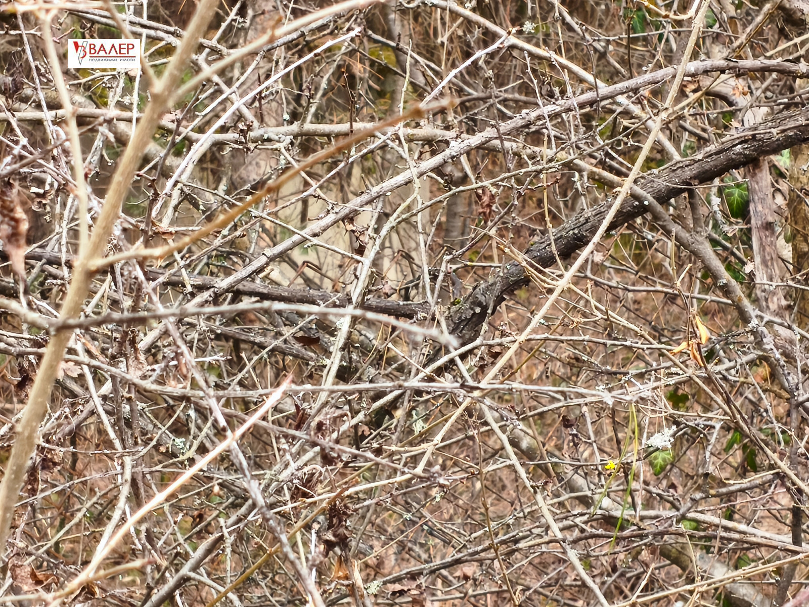 Продава ПАРЦЕЛ, гр. София, с. Герман, снимка 6 - Парцели - 53730880