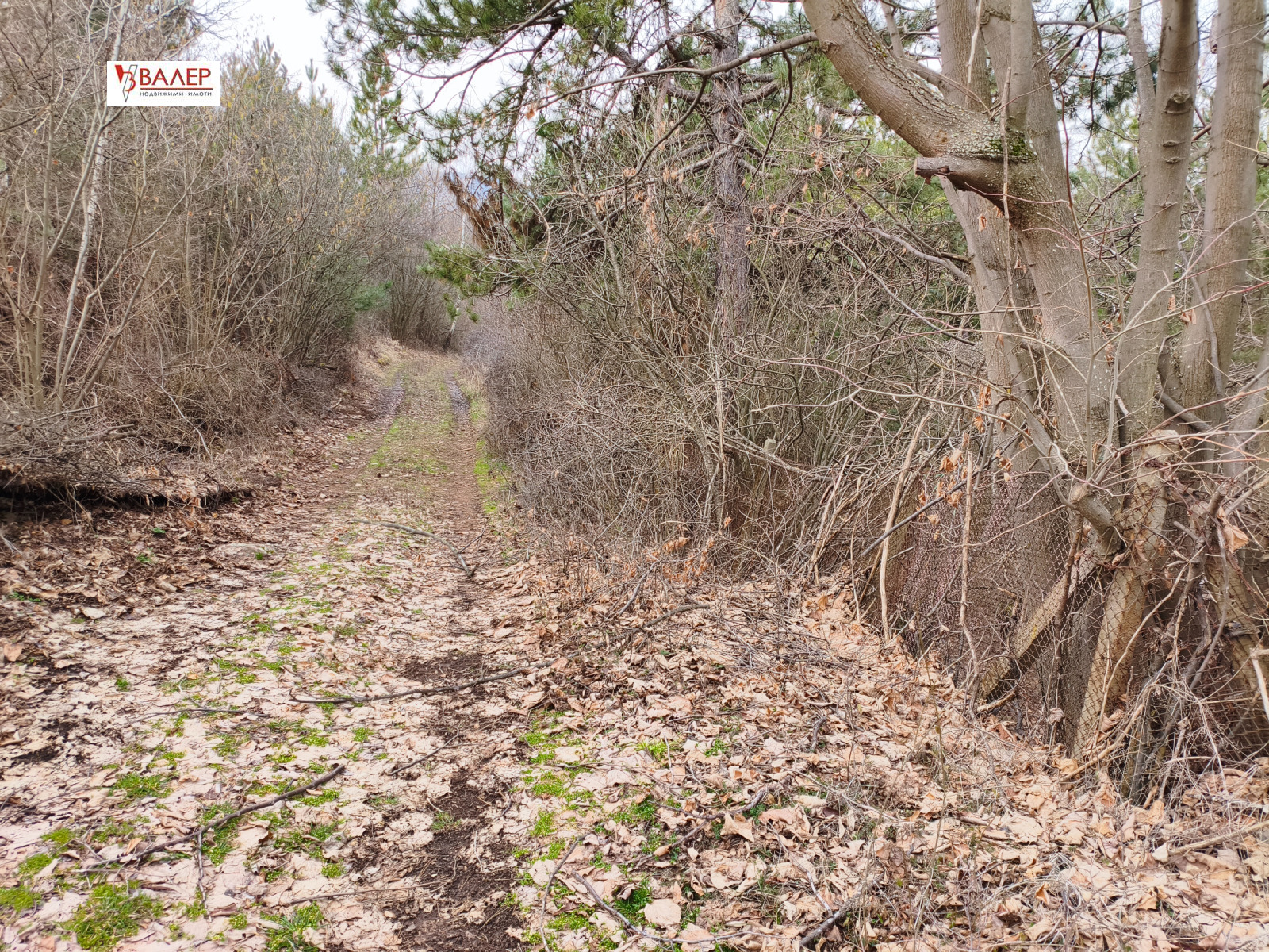 Продава ПАРЦЕЛ, гр. София, с. Герман, снимка 5 - Парцели - 53730880