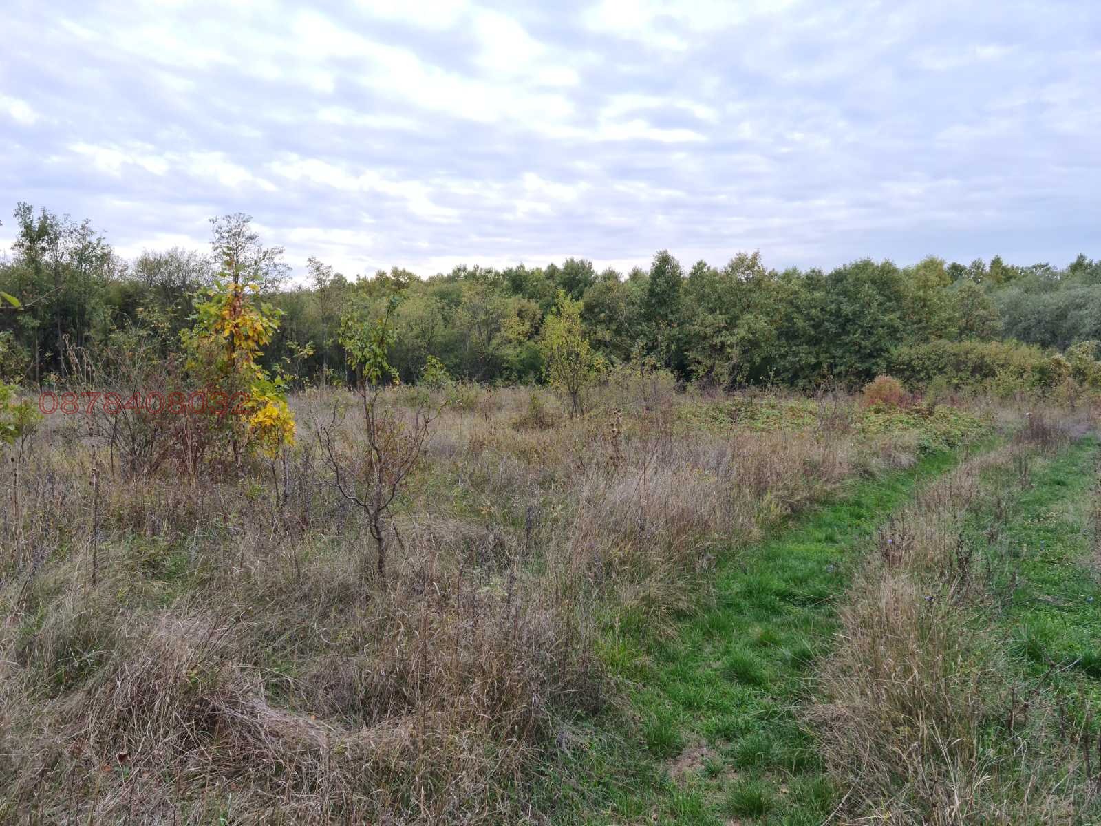 ������� ������ | Imot.bg � ����������� 7