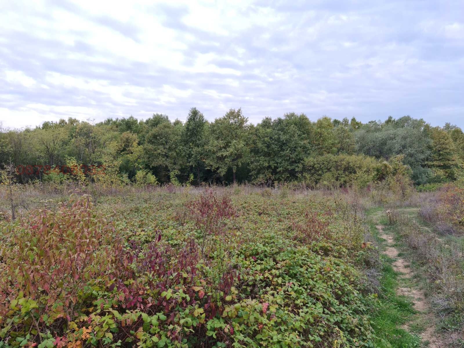 ������� ������ | Imot.bg � ����������� 3