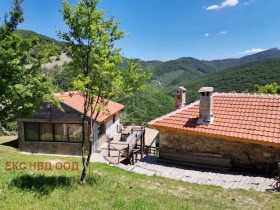 ����� ������� ����,�. ���� ����, ������ �������