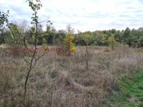 ������� ������ | Imot.bg � ����� ������ 5