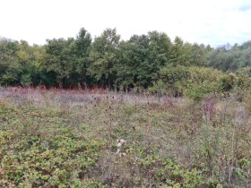 ������� ������ | Imot.bg � ����� ������ 2