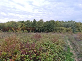 ������� ������ | Imot.bg � ����� ������ 3