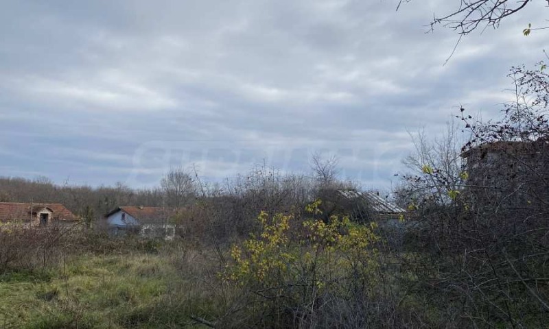 Продава ПАРЦЕЛ, с. Велика, област Бургас, снимка 6 - Парцели - 53274427