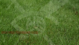 ����� ������� ������,�. ��������, ������ �������