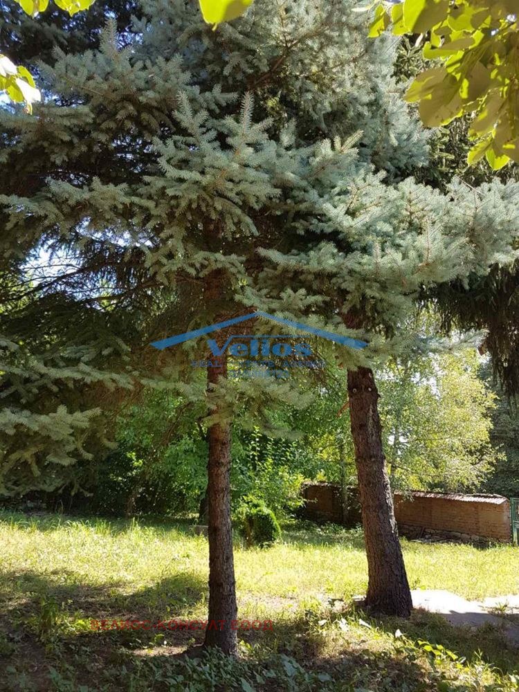 Zu verkaufen  Haus region Wraza , Hajredin , 180 qm | 66236999 - Bild [3]