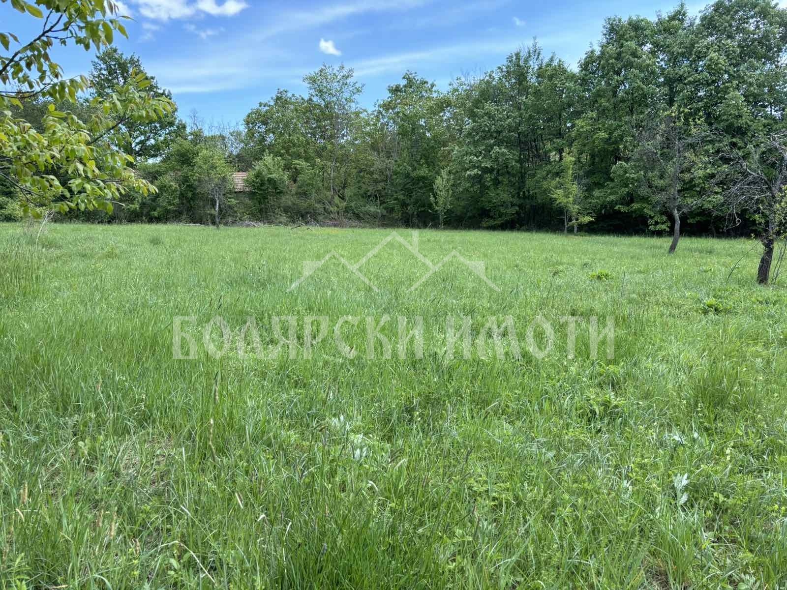 Продава ПАРЦЕЛ, с. Балванците, област Габрово, снимка 2 - Парцели - 51069306