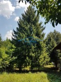 Продава КЪЩА, област Враца, с. Хайредин • 35000 лв. / 17895.22 € • 95736981 4