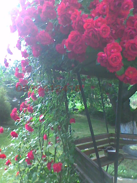 ������� ���� | Imot.bg � ����������� 14