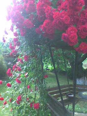 ������� ���� | Imot.bg � ����� ������ 14