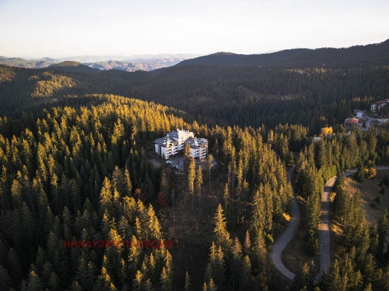 Продава 3-СТАЕН, к.к. Пампорово, област Смолян, снимка 3 - Апартаменти - 53153697