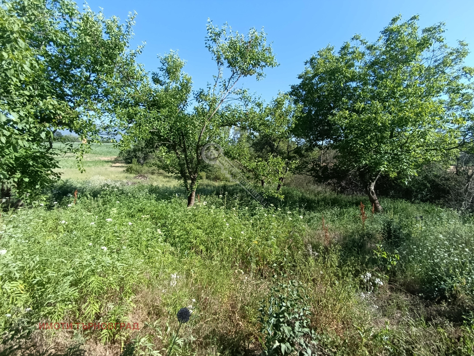 Продава КЪЩА, с. Пчелище, област Велико Търново, снимка 8 - Къщи - 53967999