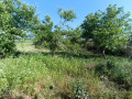 Продава КЪЩА, област Велико Търново, с. Пчелище • 56650 € • 46952554 — Holmes.bg