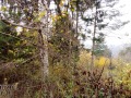 Продава ПАРЦЕЛ, град София, Княжево • 194000 € • 90726497 — Holmes.bg