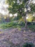 Продава  Парцел област Пловдив , гр. Садово , 2000 кв.м | 41507446 - изображение [2]
