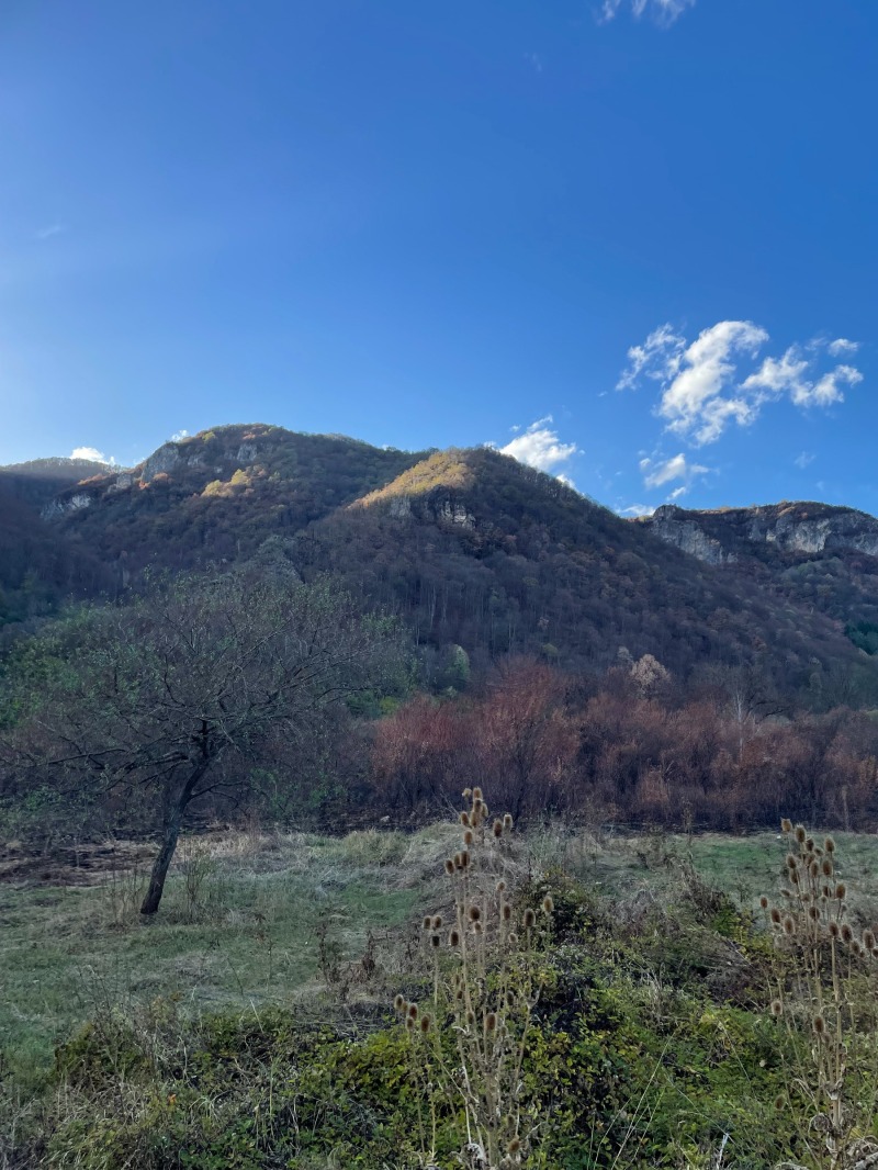 Продава ПАРЦЕЛ в област Ловеч, с. Рибарица - 8027 кв.м / 150 000 € » 293 374.50 лв., ПРОПЪРТИ МЕНИДЖМЪНТ ПРО ЕООД
