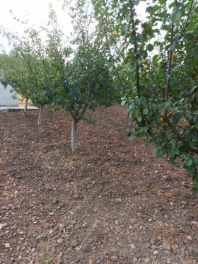 ������� ������ | Imot.bg � ����� ������ 4