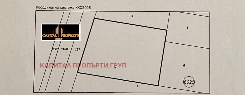Продается  Сюжет София , Кривина , 603 кв.м | 87461992