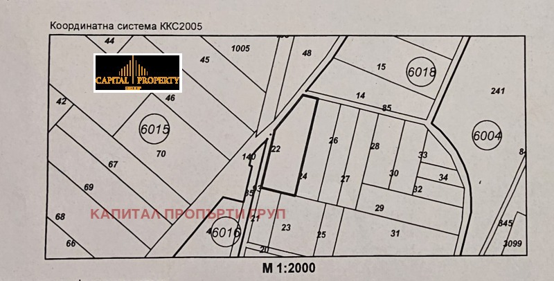 Продается  Сюжет София , Кривина , 603 кв.м | 87461992 - изображение [2]